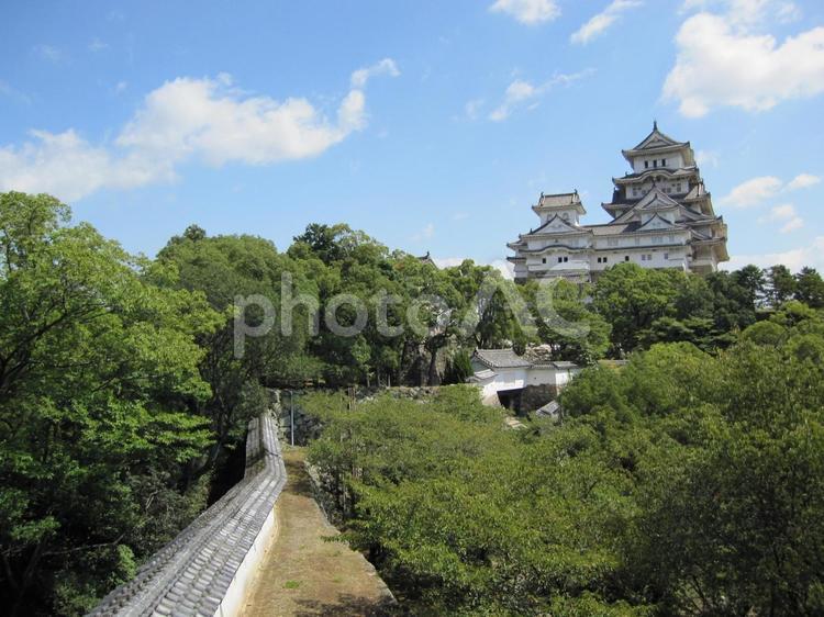 姫路城　西の丸からの天守閣 姫路城,白鷺城,平山城の写真素材