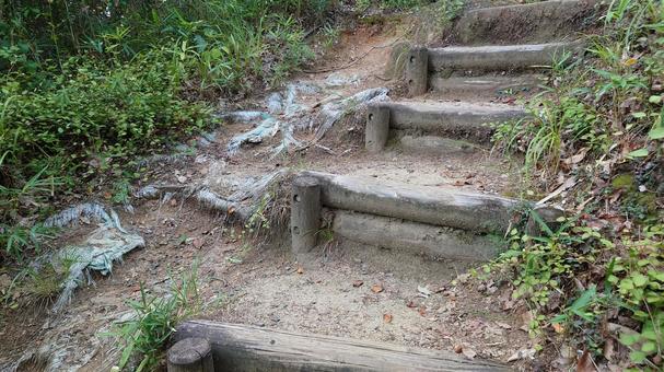 ハイキング道 ハイキング道の写真