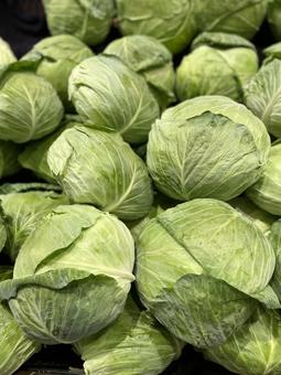 Photo, cabbage, spring cabbage, monsieur root, 