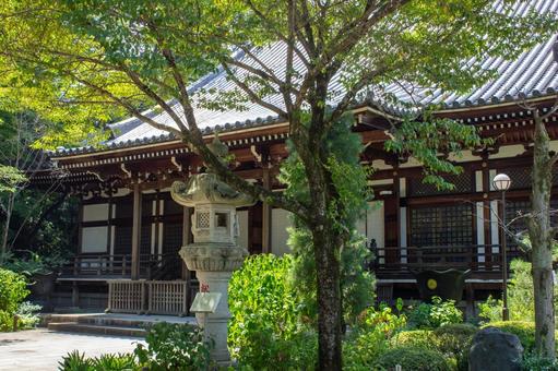 高幡不動 大日堂 高幡不動 大日堂の写真