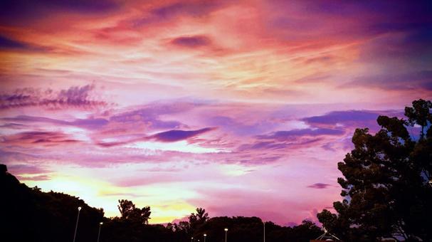秋の大泉緑地の夕空 秋の大泉緑地の夕空 大泉緑地,秋,大阪の写真素材