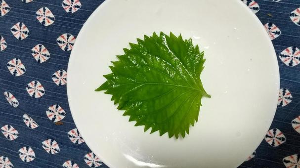 青じその葉(大葉) 青じその葉(大葉)の写真