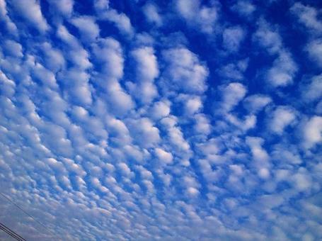 【空の写真】うろこ雲 【空の写真】うろこ雲の写真