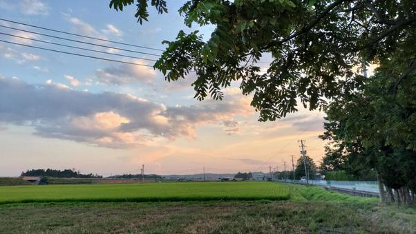 田舎の夕暮れ 田舎の夕暮れ 田舎,夕暮れ,雲の写真素材