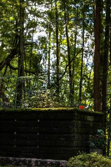 武蔵神社 武蔵神社 岡山県,美作市,神社仏閣の写真素材