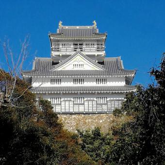 岐阜城 稲葉山城 岐阜城 稲葉山城 岐阜城,稲葉山城,金華山の写真素材