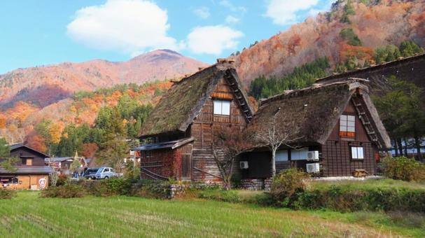 白川郷 白川郷,世界遺産,茅葺きの写真素材