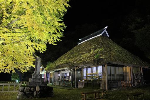 秋の金言寺と大イチョウの紅葉 秋の金言寺と大イチョウの紅葉 金言寺,大イチョウ,紅葉の写真素材