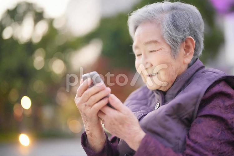 携帯を見つめるおばあちゃん 女性,おばあちゃん,シニアの写真素材