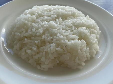 Photo, rice, lunch set, 