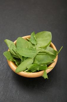 サラダほうれん草 サラダほうれん草,ほうれん草,野菜の写真素材