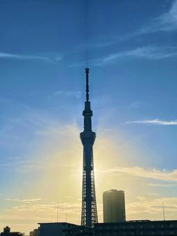 黄金の光に包まれるスカイツリー 黄金の光に包まれるスカイツリー 東京,スカイツリー,光の写真素材