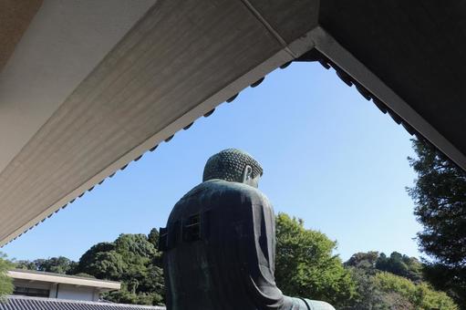 鎌倉大仏殿高徳院 鎌倉大仏殿高徳院の写真