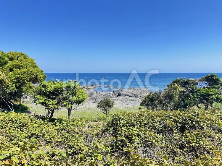 荒船海岸　海岸沿い 串本町の東端,熊野灘沿い,吉野熊野国立公園の写真素材
