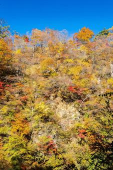 鳴子峡の秋-Vol.4(26) 渓谷,峡谷,鳴子峡の写真素材