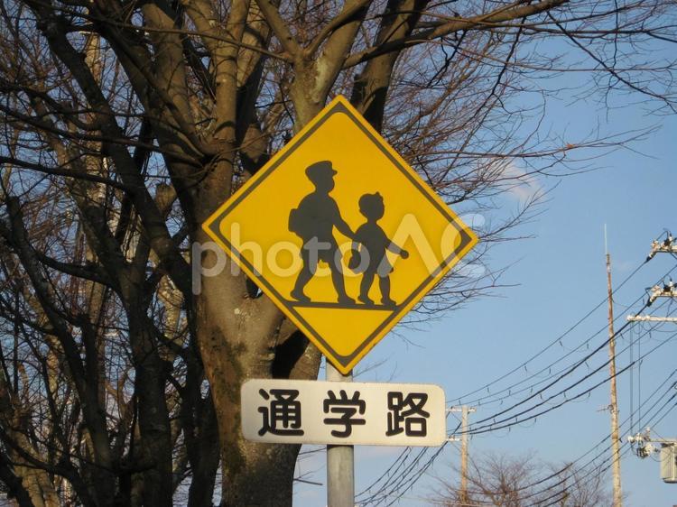 通学路の道路標識 通学路,黄色,道路標識の写真素材