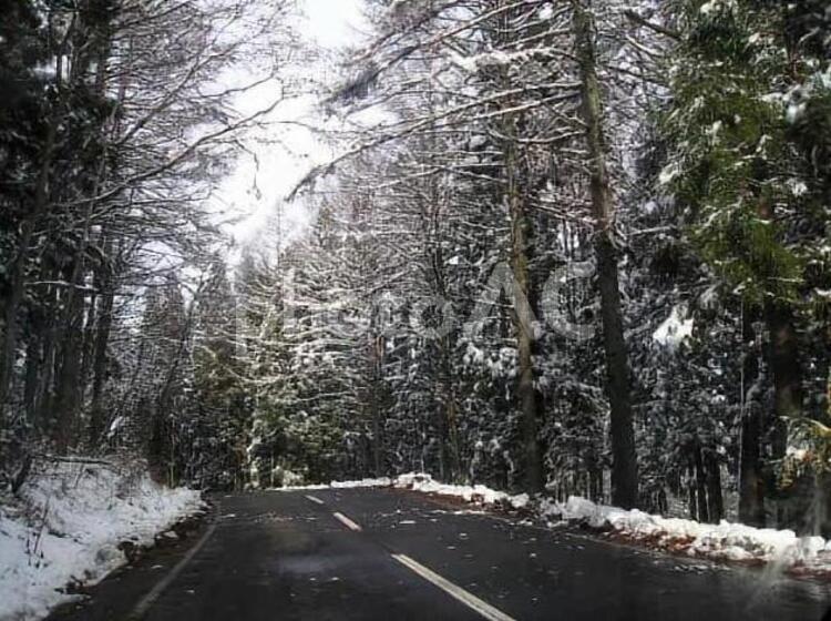 雪の信州　信濃町 12月,信州,信濃町の写真素材