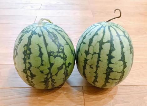 watermelon, JPG