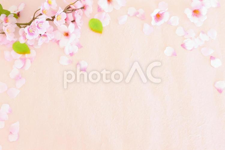桜の壁紙　春イメージ 桜,桜の花びら,花びらの写真素材