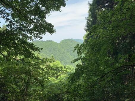 新緑の木々が囲む山並みの眺望 山,山並み,新緑の写真素材