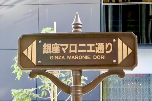 銀座マロニエ通り 銀座マロニエ通り 銀座,マロニエ通り,東京の写真素材