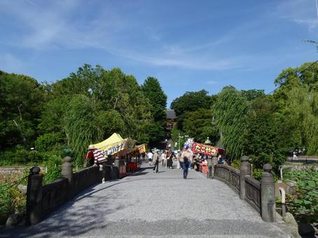 天龍橋（不忍池） 天龍橋,不忍池,東京都台東区上野公園の写真素材