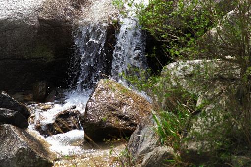 渓流17 渓流,沢,水の写真素材
