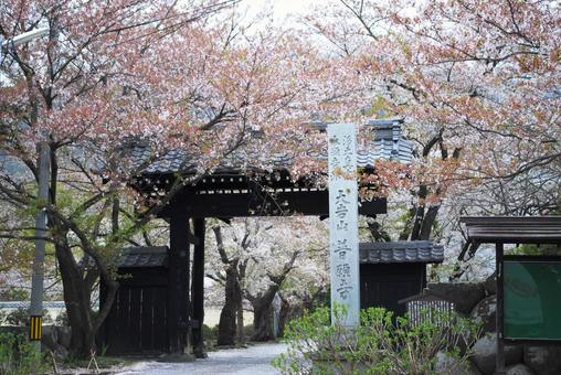 Photo, shinshu, suzaka, walking in town, 