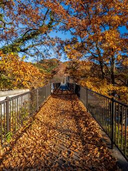 金石水管橋 長瀞,紅葉,風景の写真素材