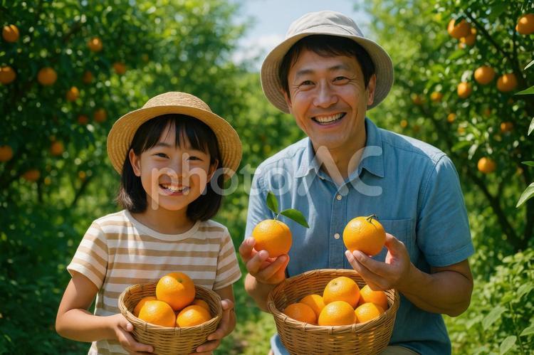 農園でフルーツ摘みをする親子 日本人,親子,夏休みの写真素材