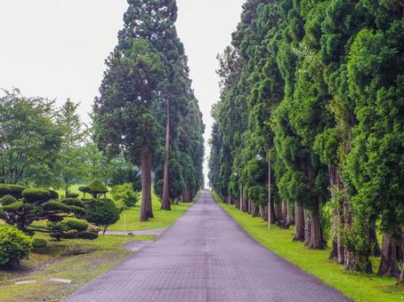 【北海道】北斗市・トラピスト大修道院 【北海道】北斗市・トラピスト大修道院の写真