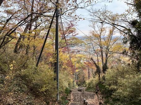 岩船山参道の紅葉 岩船山,岩舟駅,紅葉の写真素材