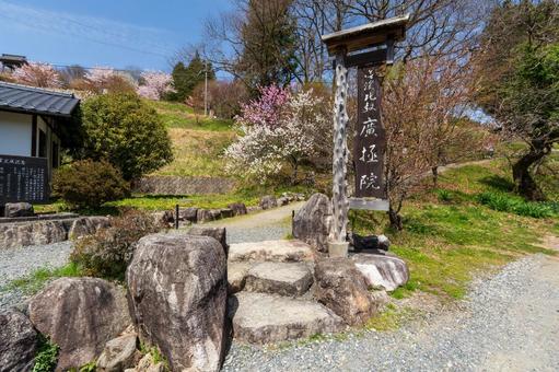 250421信濃比叡廣拯院の写真