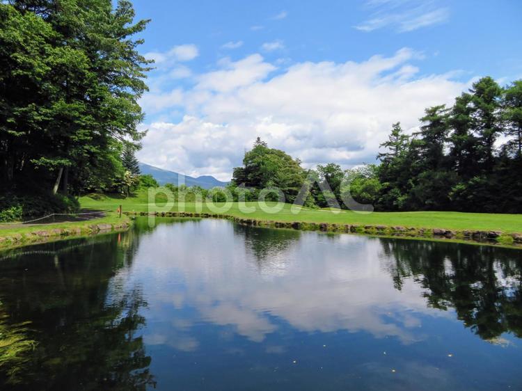 軽井沢　ゴルフ 軽井沢,ゴルフ,スポーツの写真素材