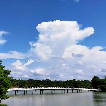 公園 公園の写真