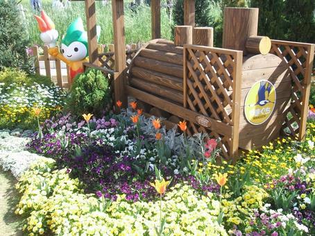 都市緑化フェア 岡山市,西大寺,都市緑化フェアの写真素材