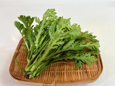 収穫したての春菊① 春菊,冬野菜,野菜の写真素材