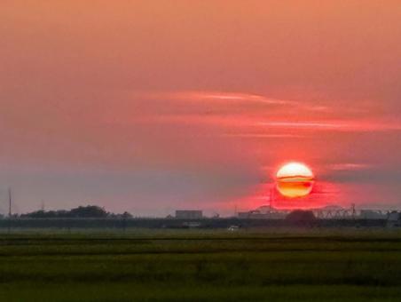 夕陽 夕陽の写真