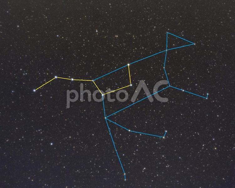 おおぐま座（星座線）③・天体 おおぐま座,星座,星の写真素材