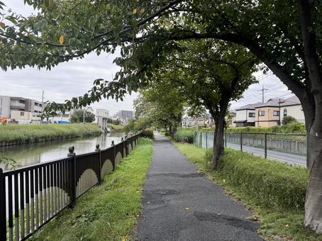 散歩道 散歩道 遊歩道,散歩,河川の写真素材
