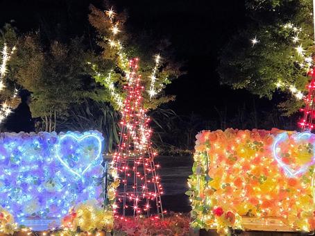 虹の郷　イルミネーション イルミネーション,クリスマス,夜景の写真素材