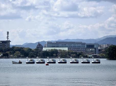 大濠公園(福岡市) 大濠公園,スワンボート,池の写真素材