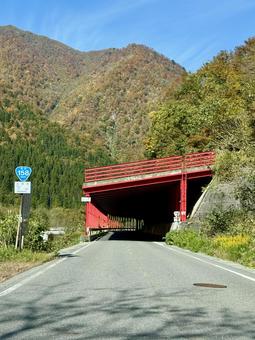 秋の山奥の道路　福井県大野市九頭竜川周辺 スノーシェッド,トンネル,道路の写真素材