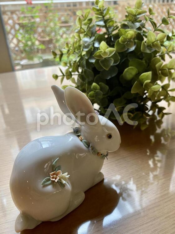 陶器のウサギ ウサギ,花,自然の写真素材