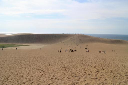 鳥取砂丘2017_1 鳥取砂丘2017_1 鳥取砂丘,砂浜,日本海の写真素材