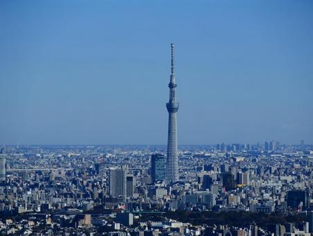 スカイツリー スカイツリーの写真