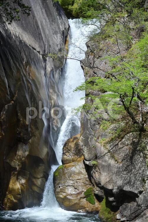 昇仙峡～仙娥滝 仙娥滝,昇仙峡,山梨の写真素材