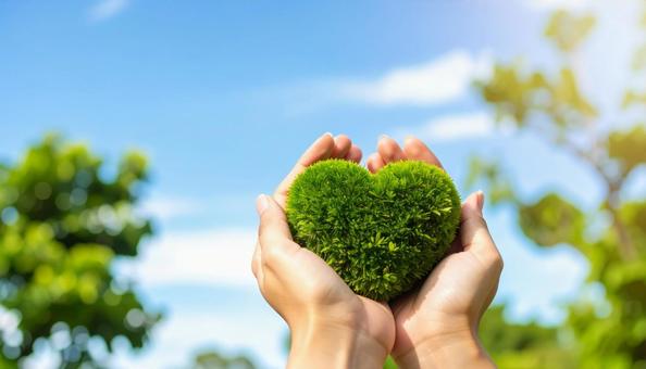 手の上のハート型の植木の写真