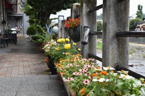 花壇 花壇の写真