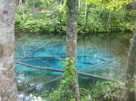 青い池 北海道 青い池 北海道の写真